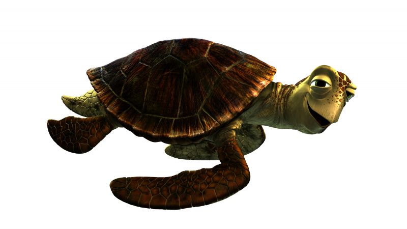 В поисках Дори, черепаха, Пиксар, Анимация (horizontal)