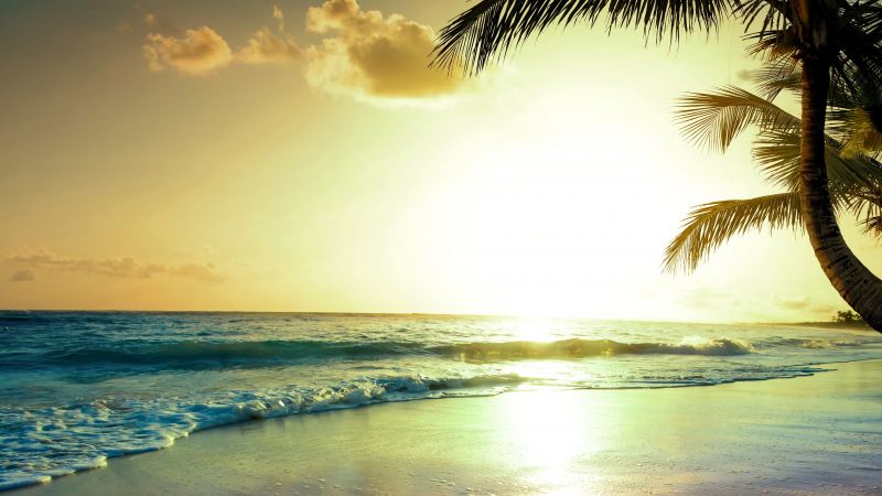 тропический пляж, 5k, 4k, парадайс, рай, закат (horizontal)