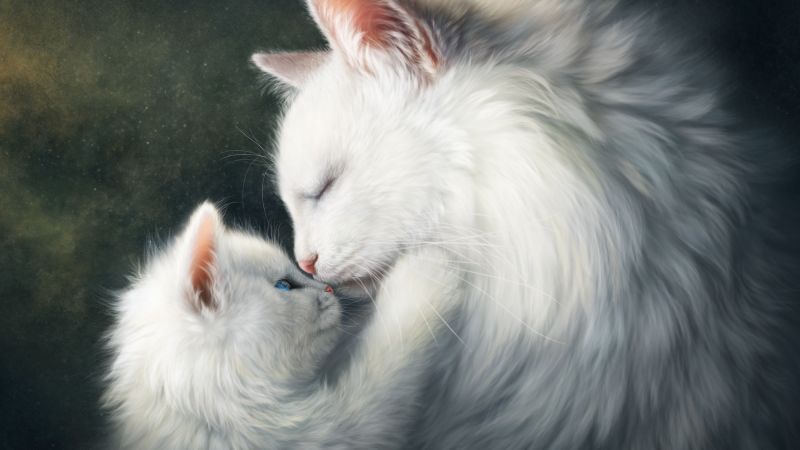 фото любовь, коты (horizontal)