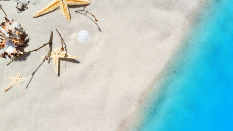 пляж, песок, ракушка (horizontal)