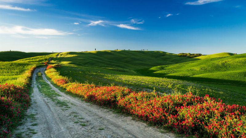 Тоскана, 4k, HD, Италия, Луга, дорога, полевые цветы, небо (horizontal)