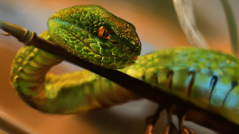Змея, зеленая, глаза, рептилия, арт (horizontal)