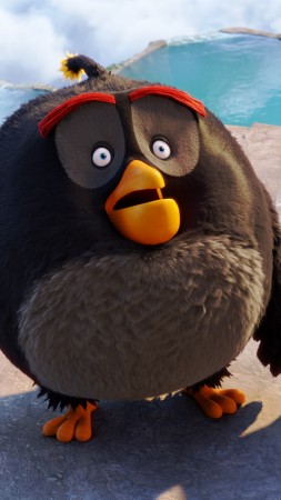 Angry Birds Movie, Красный, Бомбочка, Чак, Лучшие мультфильмы 2016 (vertical)