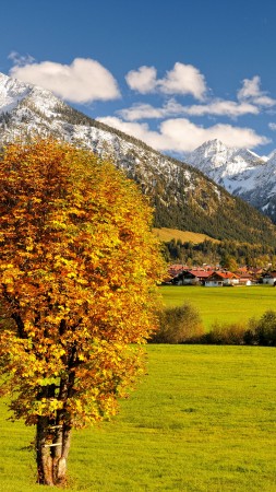Альгой, Германия, горы, осень (vertical)