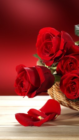Розы, 5k, 4k, цветочный букет, красный (vertical)