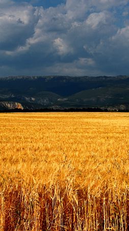 Плато-де-Валенсоль, 5k, 4k, 8k, Франция, луга, пшеница, облака (vertical)