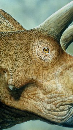 Трицератопс, ​​динозавры, Мир юрского периода, искусство (vertical)