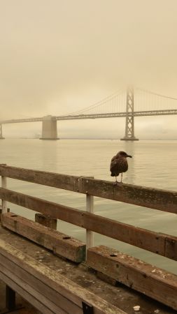 Бэй бич, Сан Франциско, Калифорния, США, Лучшие пляжи мира, туризм, путешествие (vertical)