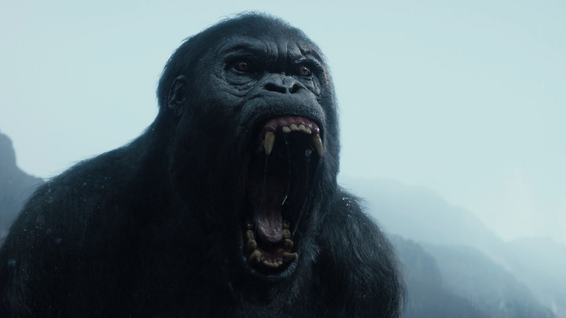 Тарзан. Легенда, горилла, Лучшие фильмы 2016, The Legend of Tarzan, gorilla, best movies 2016 (horizontal)