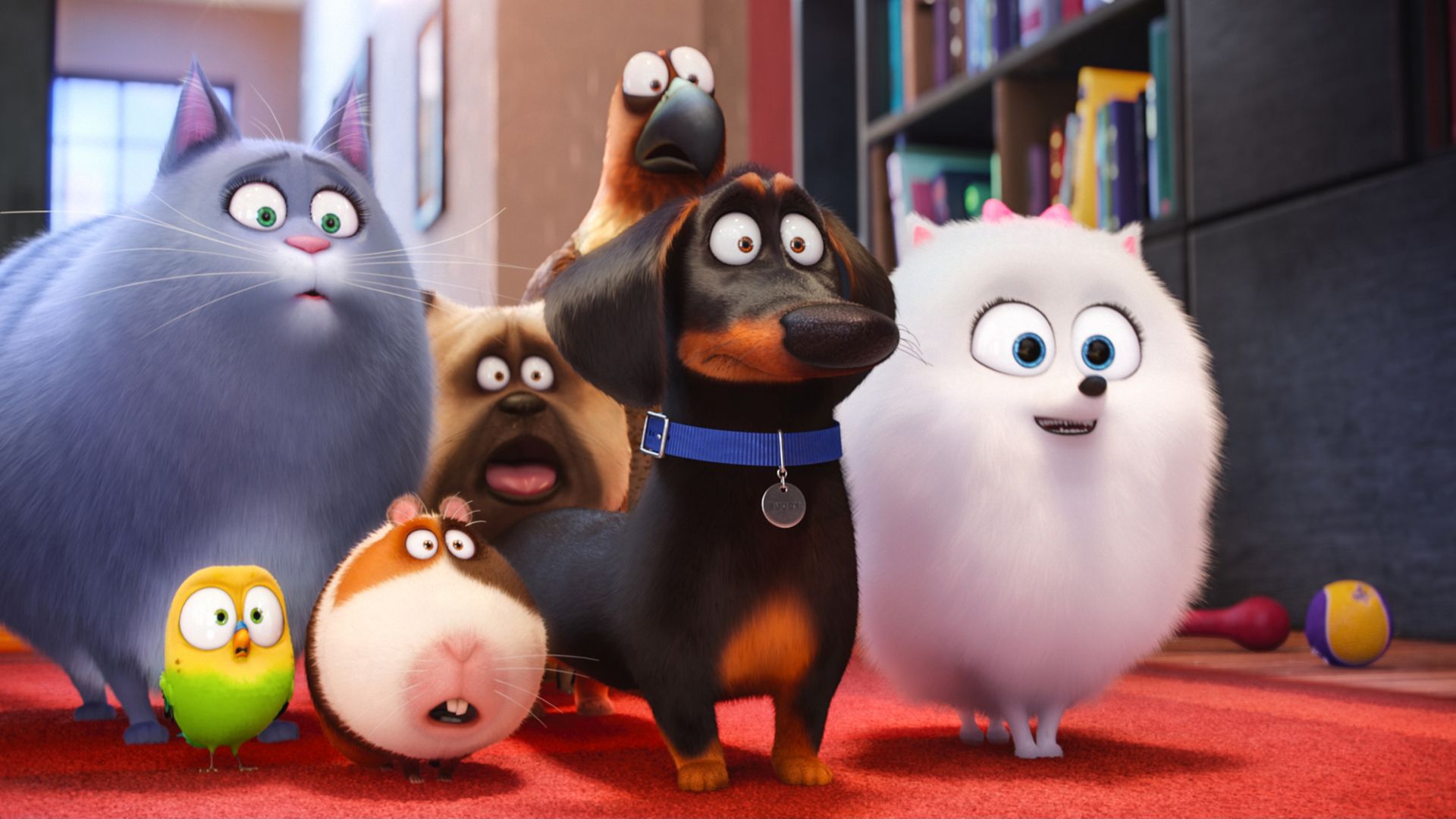Тайная жизнь домашних животных, собака, пес, Лучшие мультфильмы 2016, The Secret Life of Pets, dog, Best Animation Movies of 2016, cartoon (horizontal)