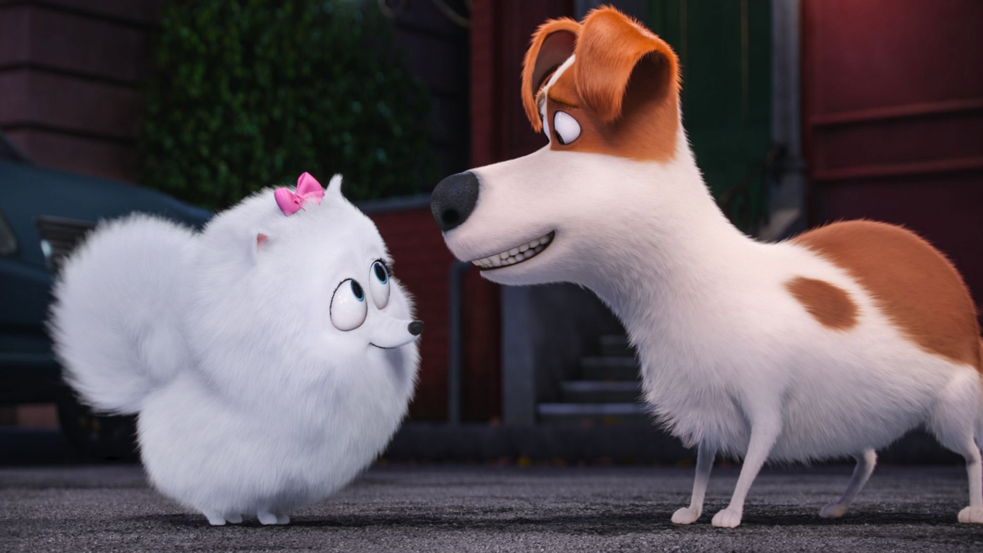 Тайная жизнь домашних животных, собака, пес, Лучшие мультфильмы 2016, The Secret Life of Pets, dog, Best Animation Movies of 2016, cartoon (horizontal)