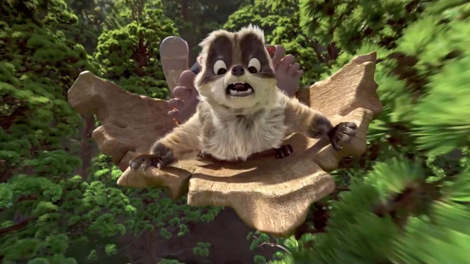 Бигфут младший, енот, лучшие мультфильмы, The Son of Bigfoot, raccoon, best animated movies (horizontal)