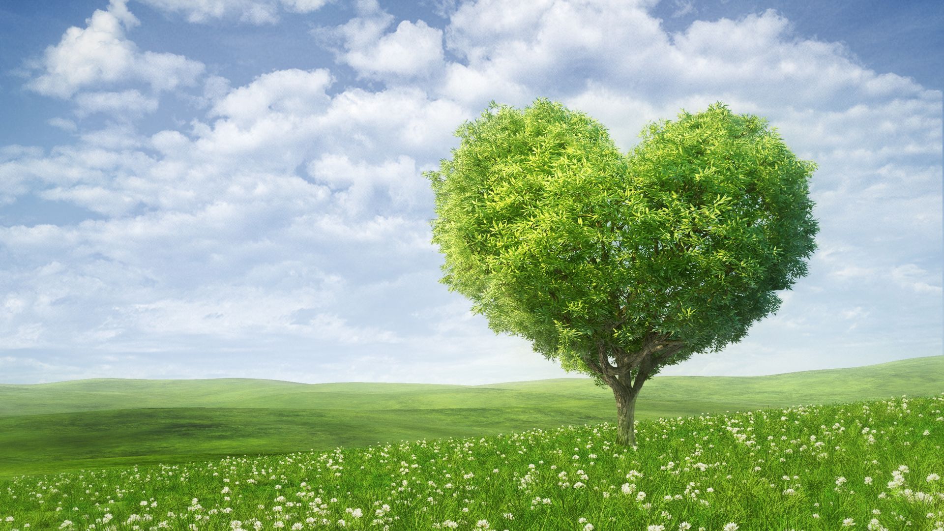 фото любовь, сердце, love image, heart, tree, 5k (horizontal)