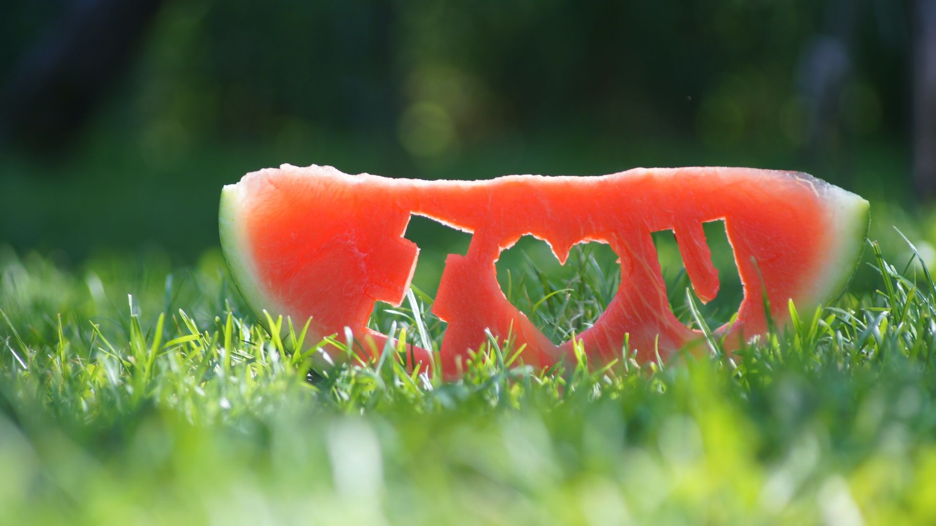фото любовь, арбуз, love image, watermelon, grass, 4k (horizontal)