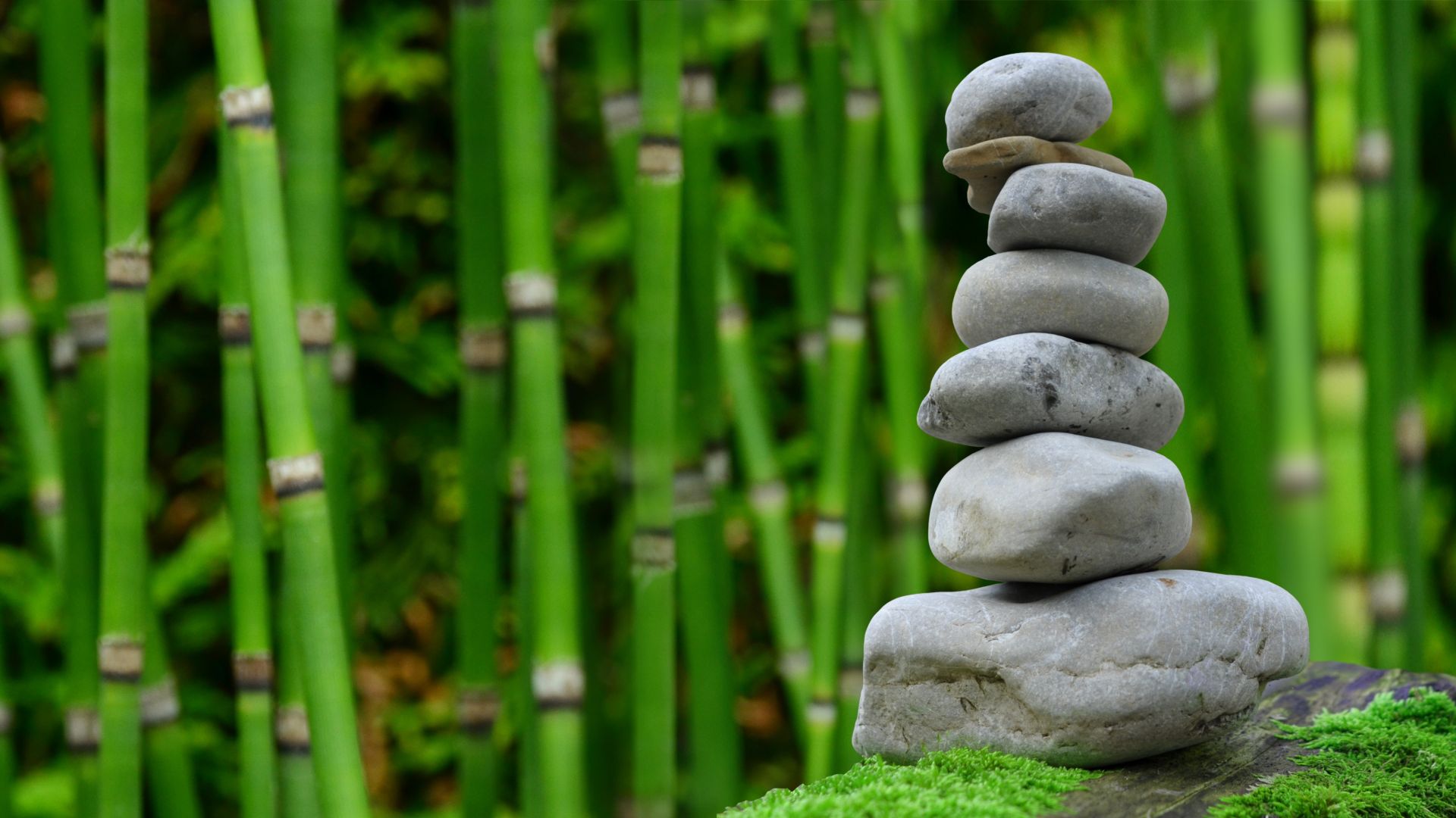 камни, бамбук, stones, bamboo, green, 4k (horizontal)