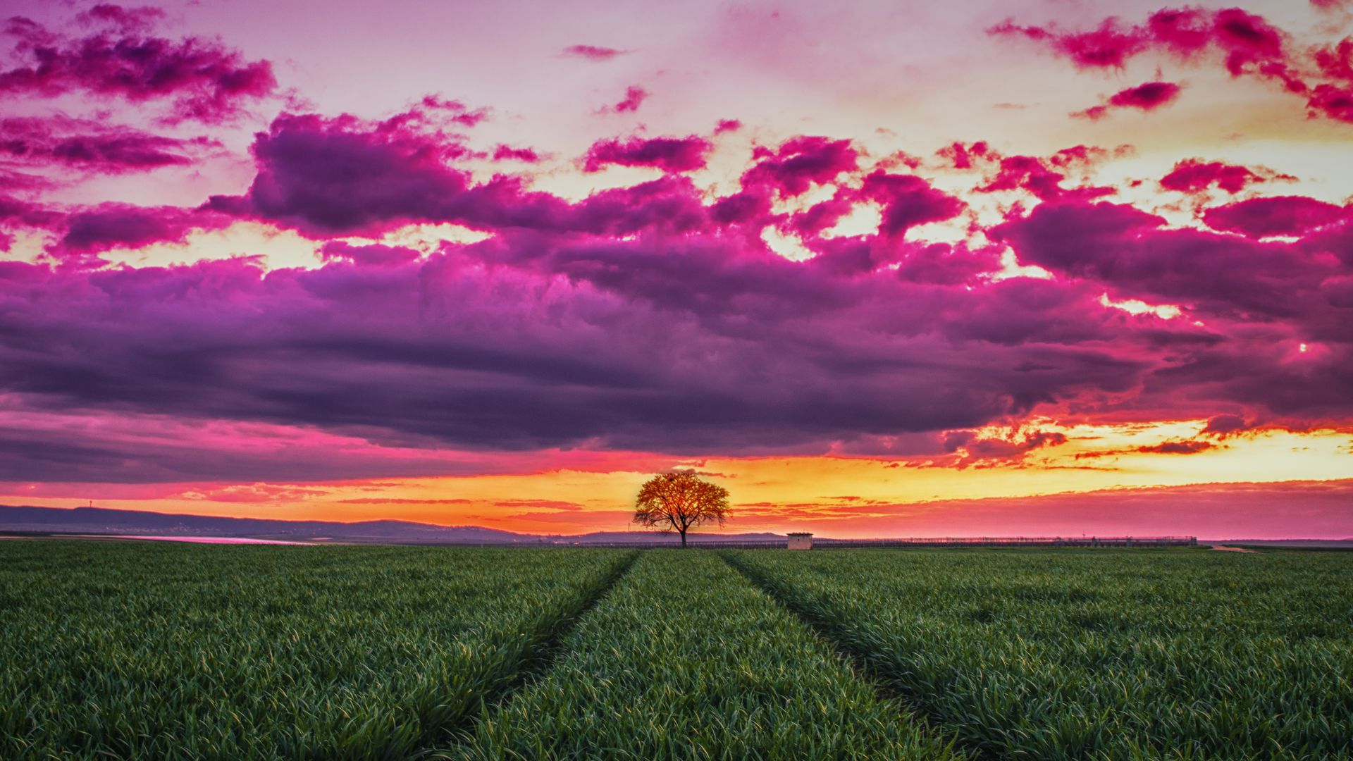 закат, поле, трава, небо, тучи, sunset, field, grass, sky, clouds, 4k (horizontal)