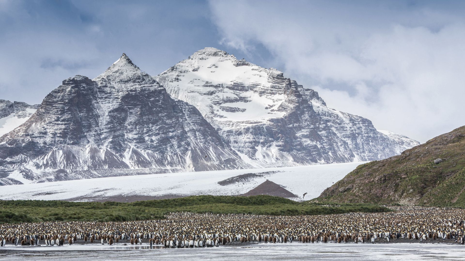 Антарктида, пингвины, Antarctica, mountains, penguins, 5k (horizontal)
