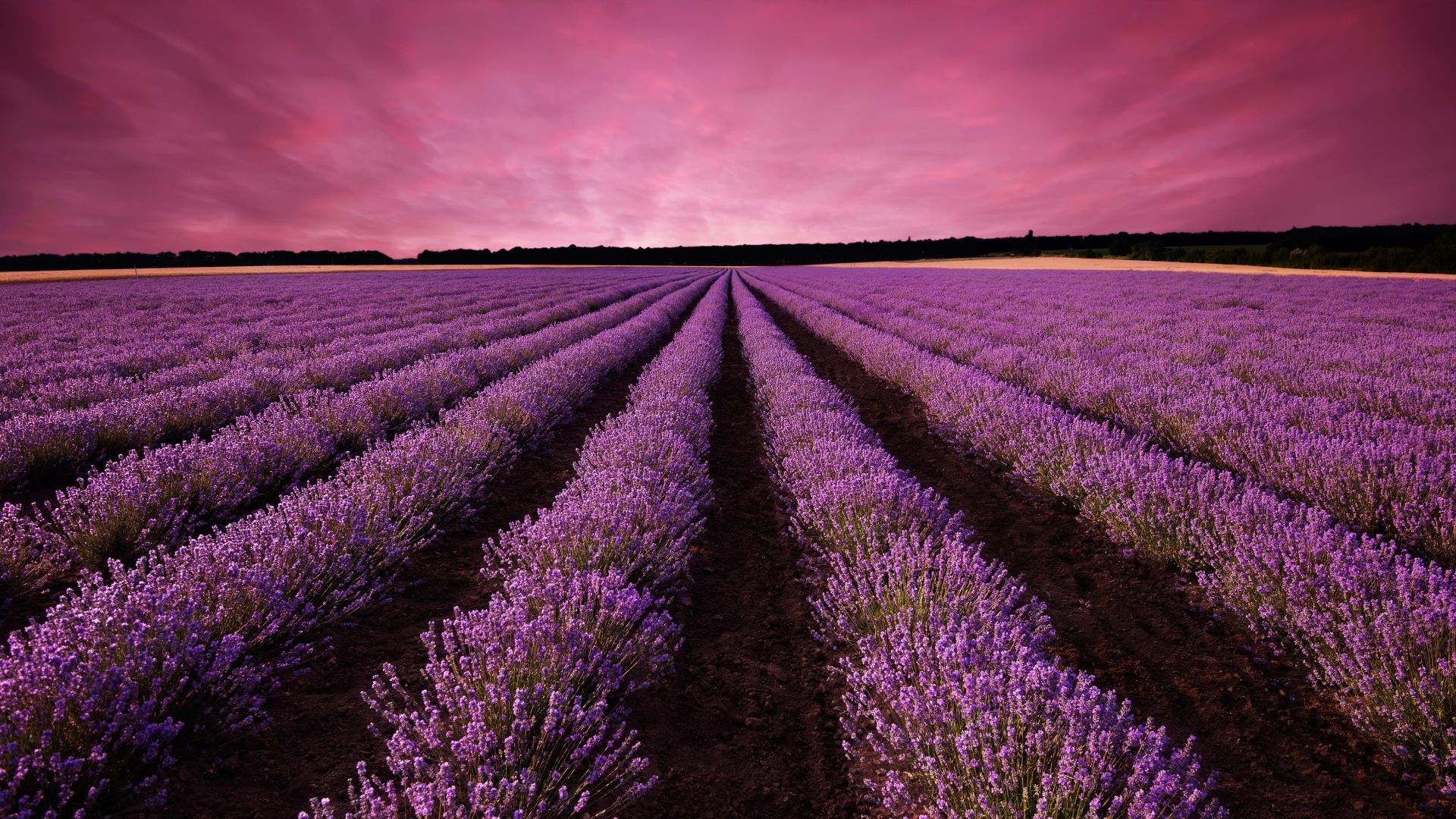 лаванда, поле, Прованс, Франция, lavender, field, sky, mountain, Provence, France, Europe, 5k (horizontal)