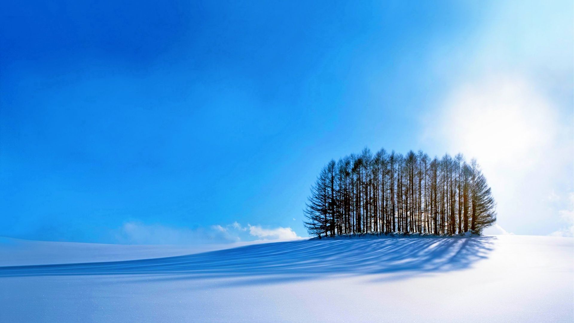 зима, trees, sky, snow, winter, 4k (horizontal)