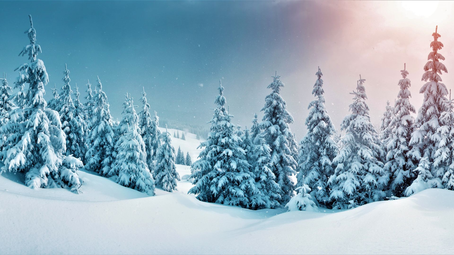 зима, forest, trees, snow, winter, 5k (horizontal)