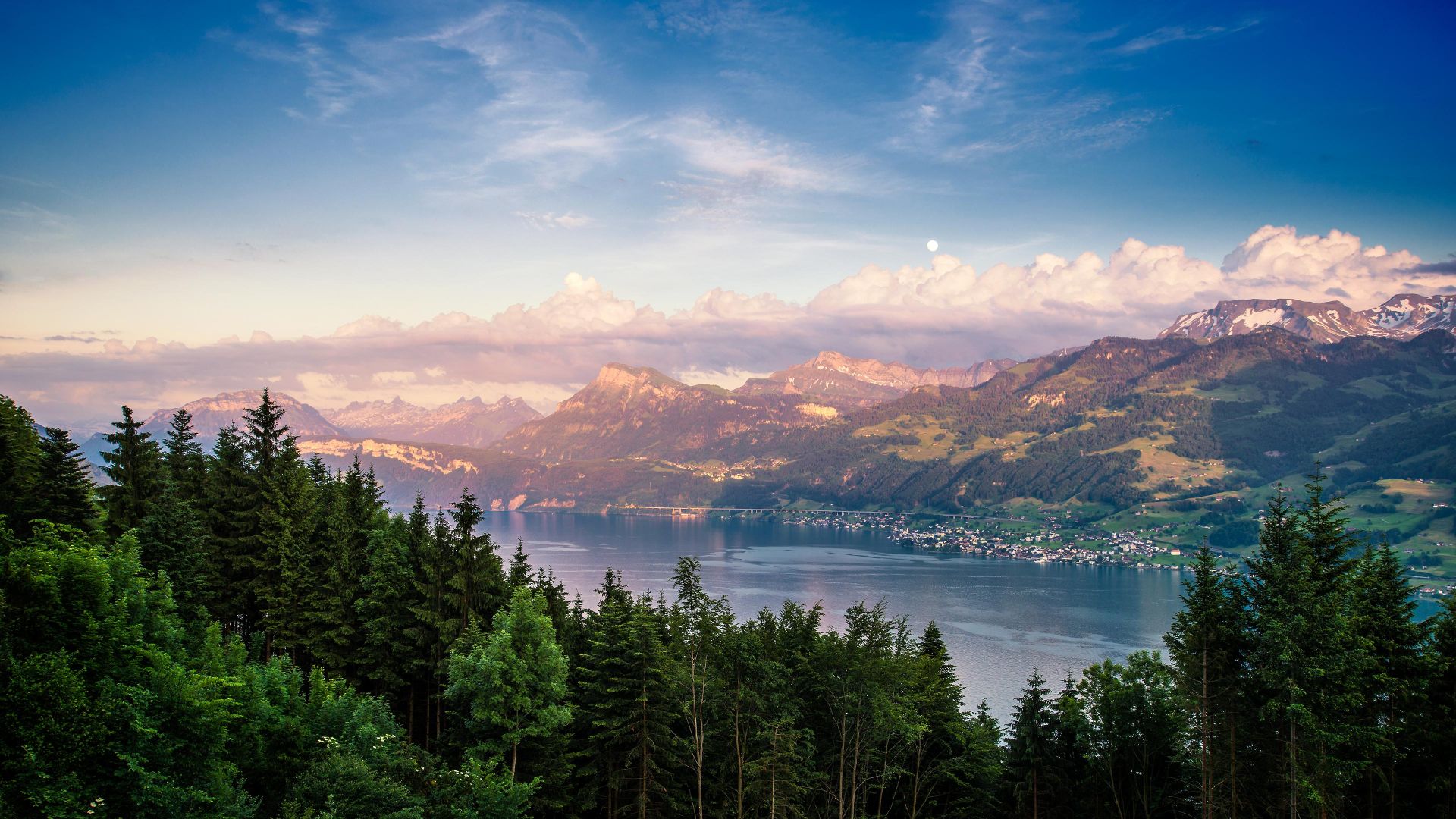 озеро, Lake Zurich, forest, sky, mountains, 4k (horizontal)