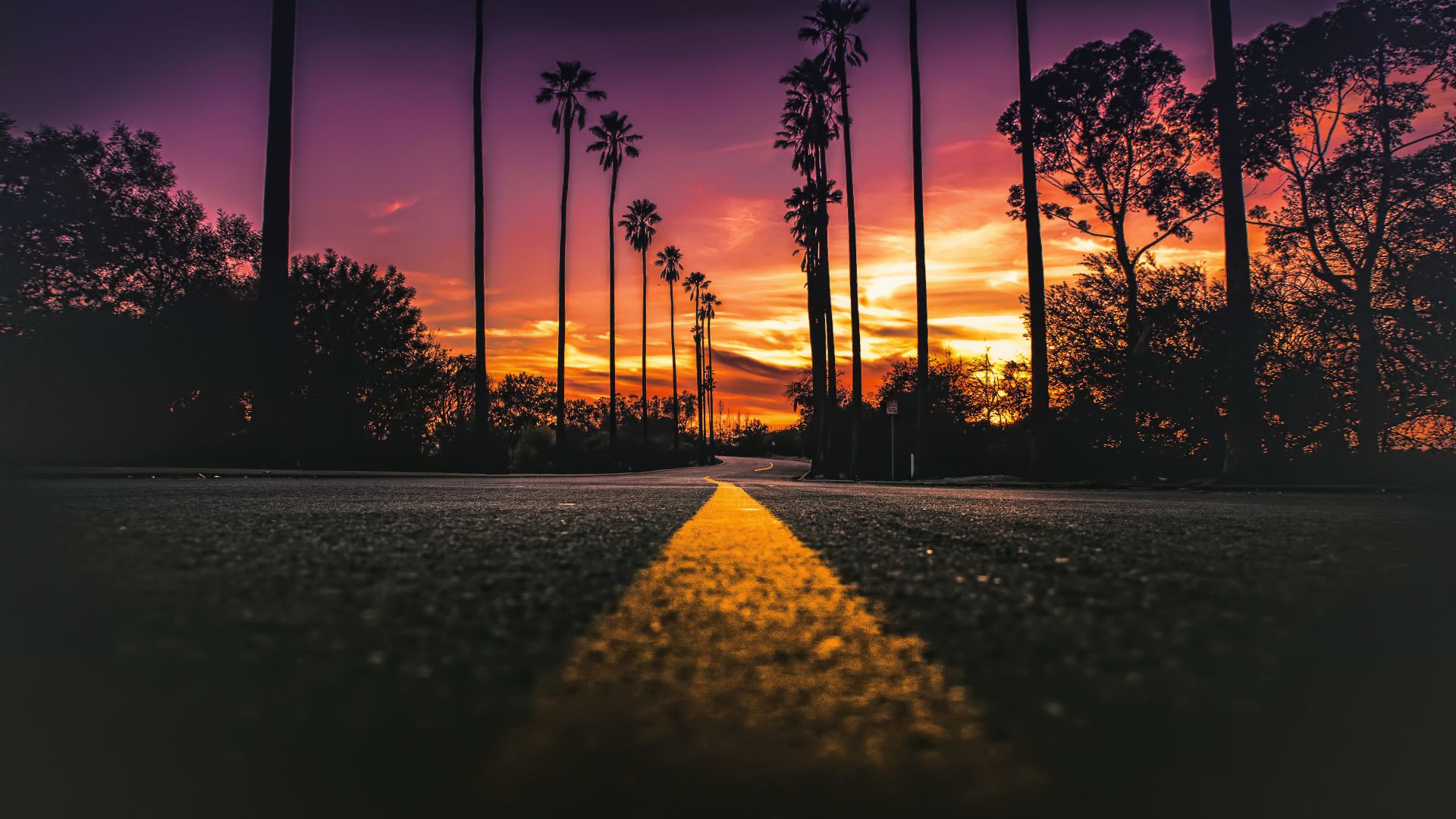 Лос Анджелес, закат, Los Angeles, California, road, palms, sunset, 4K (horizontal)