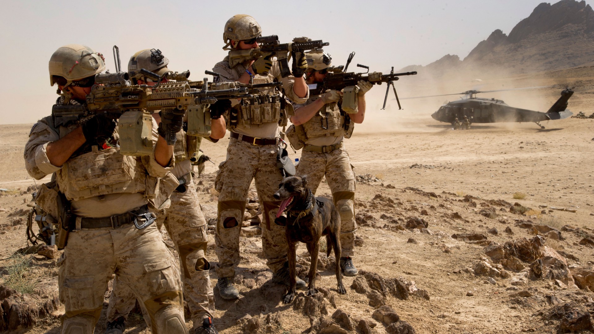солдат, армия США, камуфляж, U.S. Army, M16 rifle, Mk 14, soldier, dog, black hawk, army, RSTA, camo, ammunition, field (horizontal)