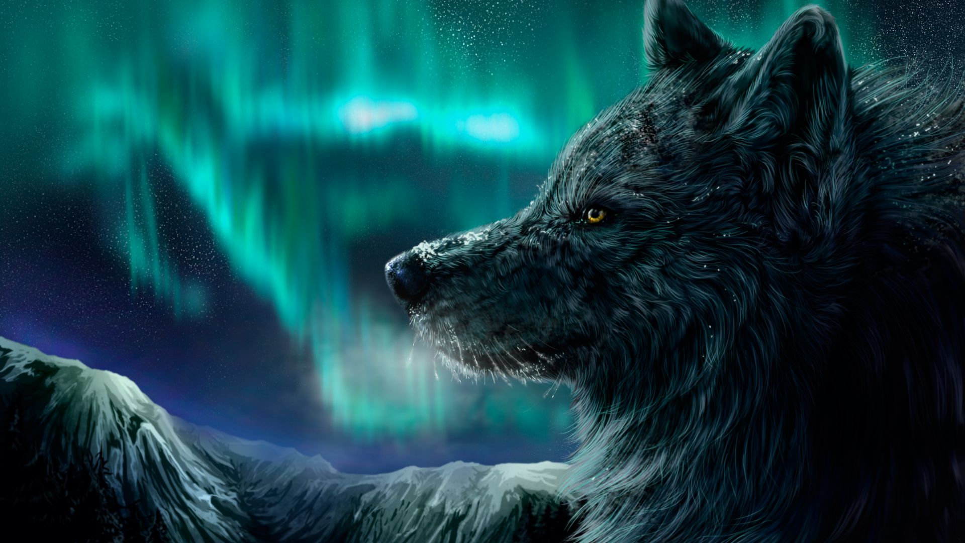 Волк, полярное сияние, взгляд, Wolf, aurora polaris, look (horizontal)