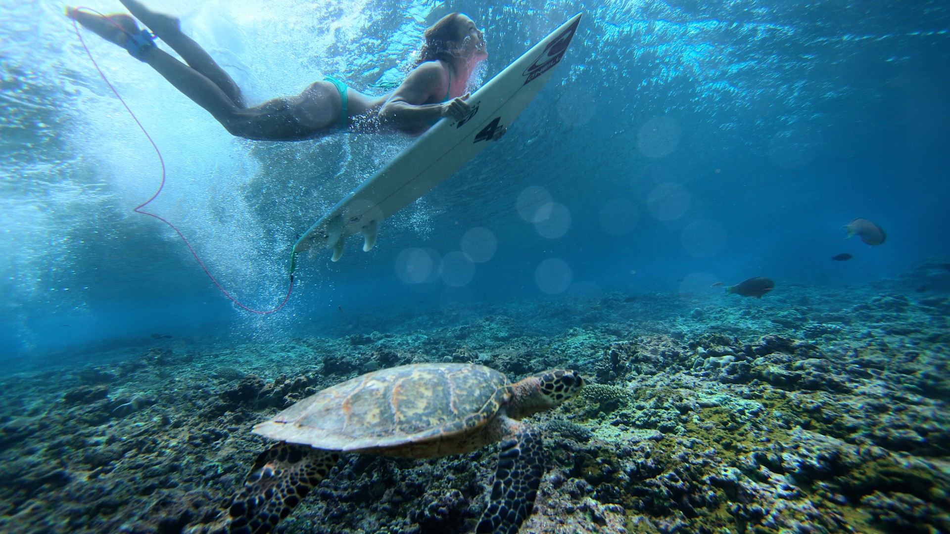 Сёрфинг, девушка, нырок, под водой, Surfing, girl, sea, underwater (horizontal)