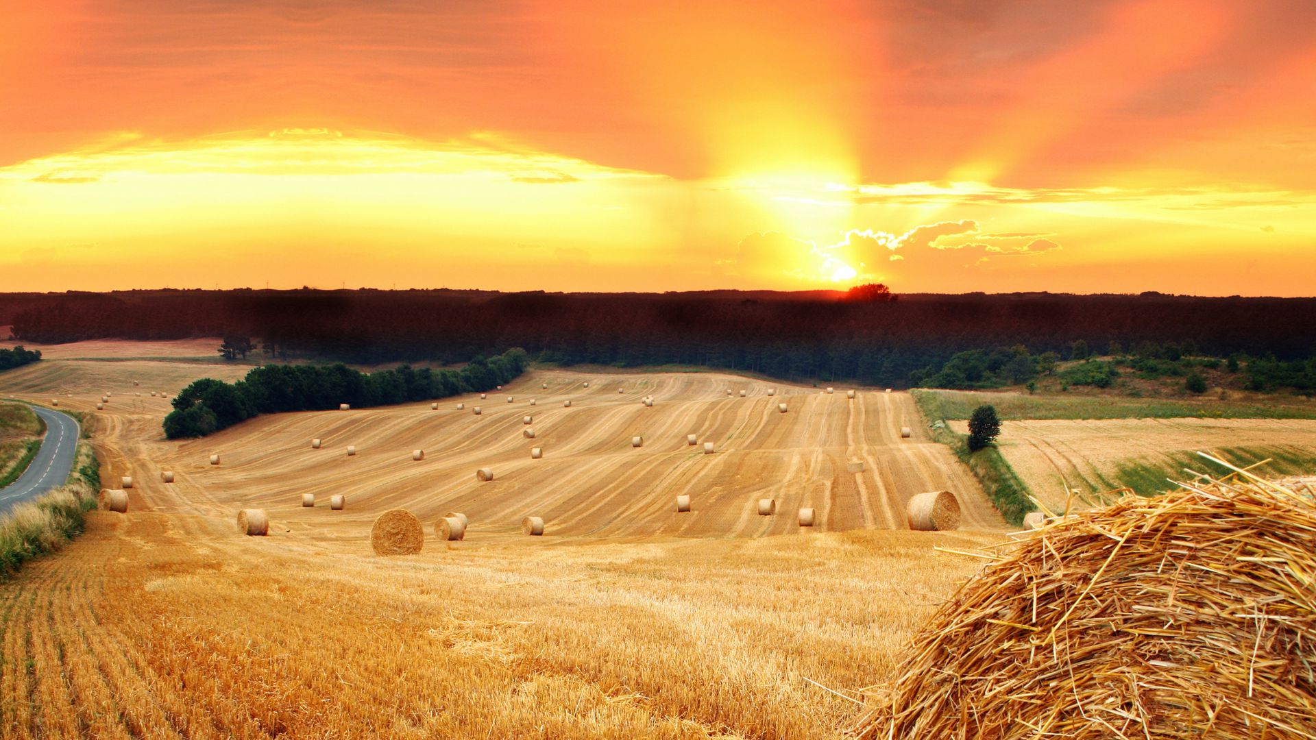 Луга, 5k, 4k, сено, закат, поле, Meadows, 5k, 4k wallpaper, hay, sunset, field (horizontal)