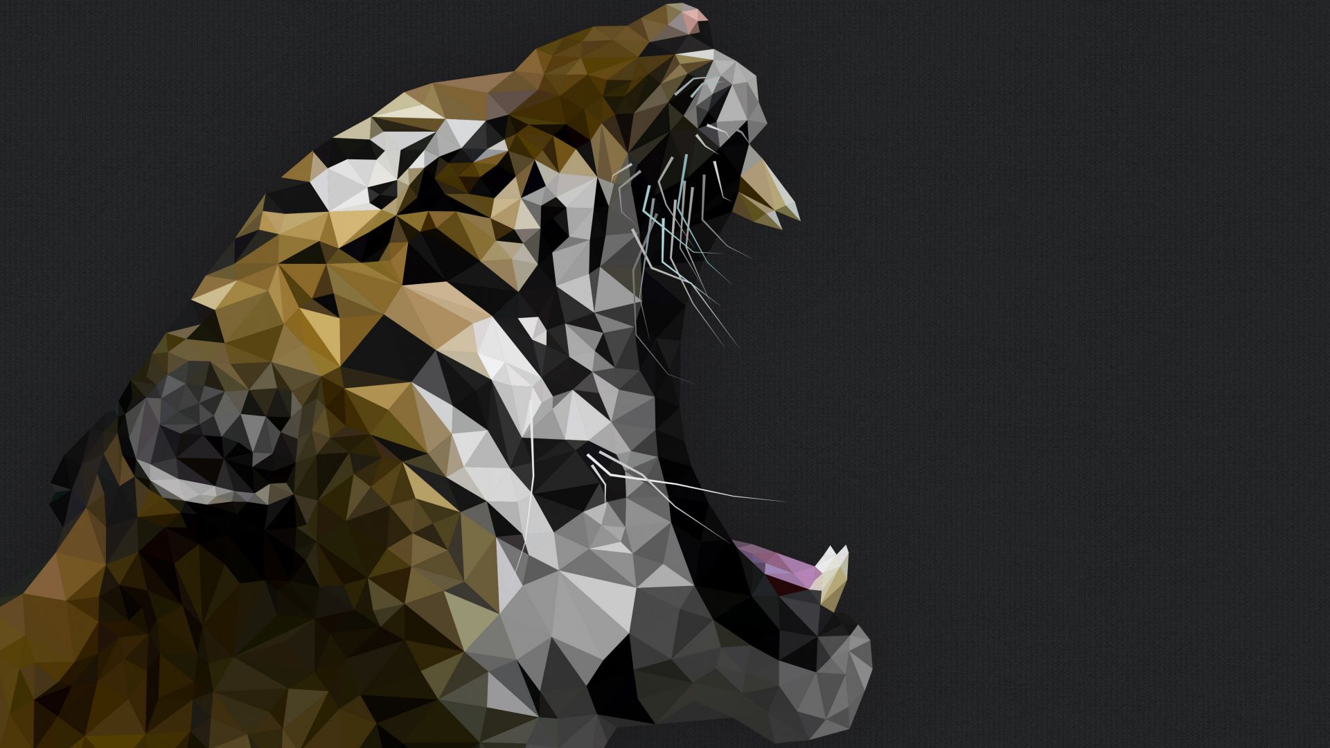 Тигр, Полигон, рев, искусство, Tiger, Polygon, roar, art (horizontal)