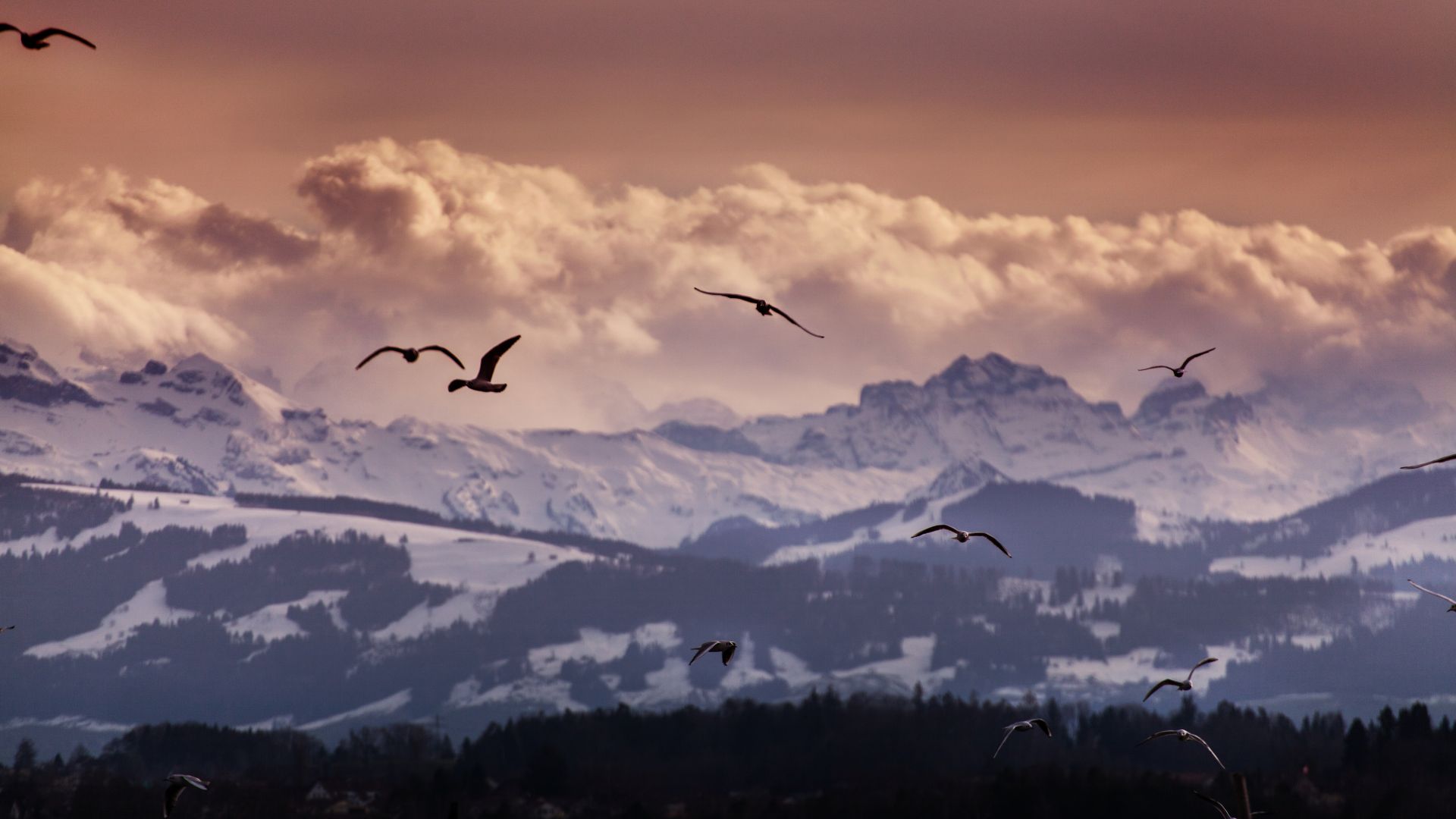 Швейцария, 5k, 4k, 8k, Альпы, горы, чайки, облака, Switzerland, 5k, 4k wallpaper, 8k, Alps, mountains, seagulls, clouds (horizontal)