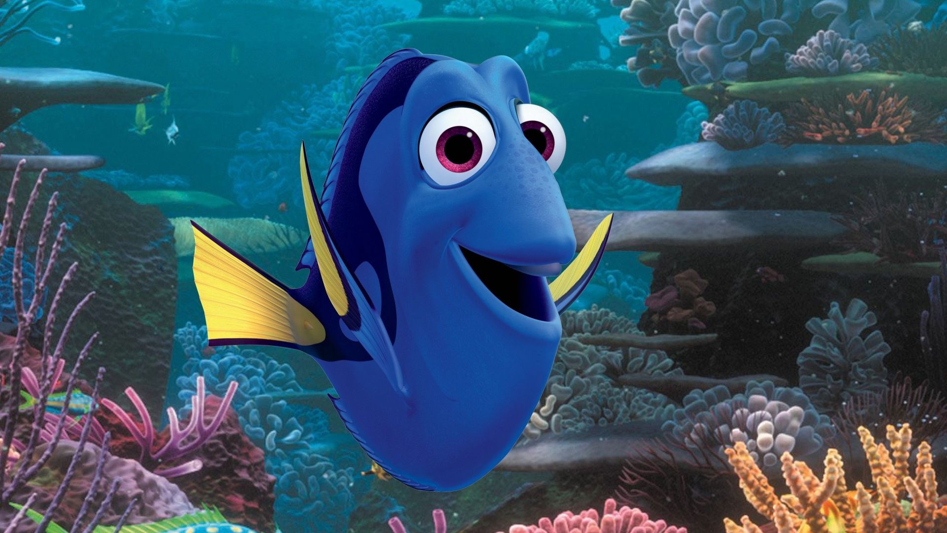 В поисках Дори, немо, рыбка, Пиксар, Анимация, Finding Dory, nemo, fish, Pixar, animation (horizontal)