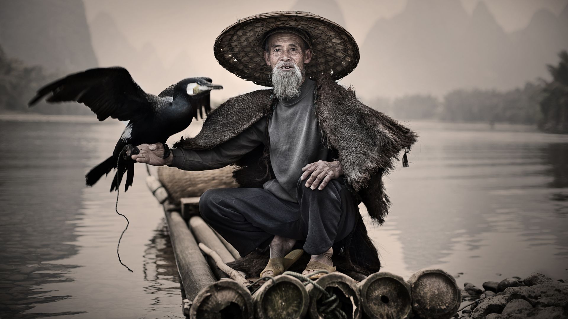 Баклан, Синпин, Китай, птица, Cormorant, Li-River, Xingping, China, fishing village, bird, National Geographic Traveler Photo Contest (horizontal)