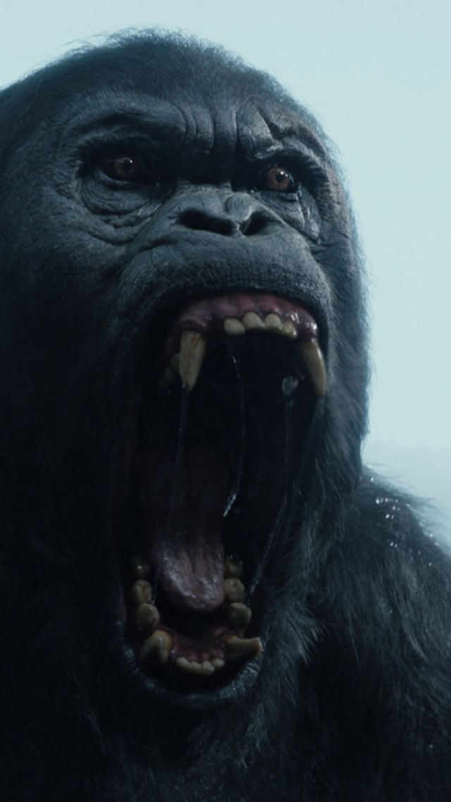 Тарзан. Легенда, горилла, Лучшие фильмы 2016, The Legend of Tarzan, gorilla, best movies 2016 (vertical)