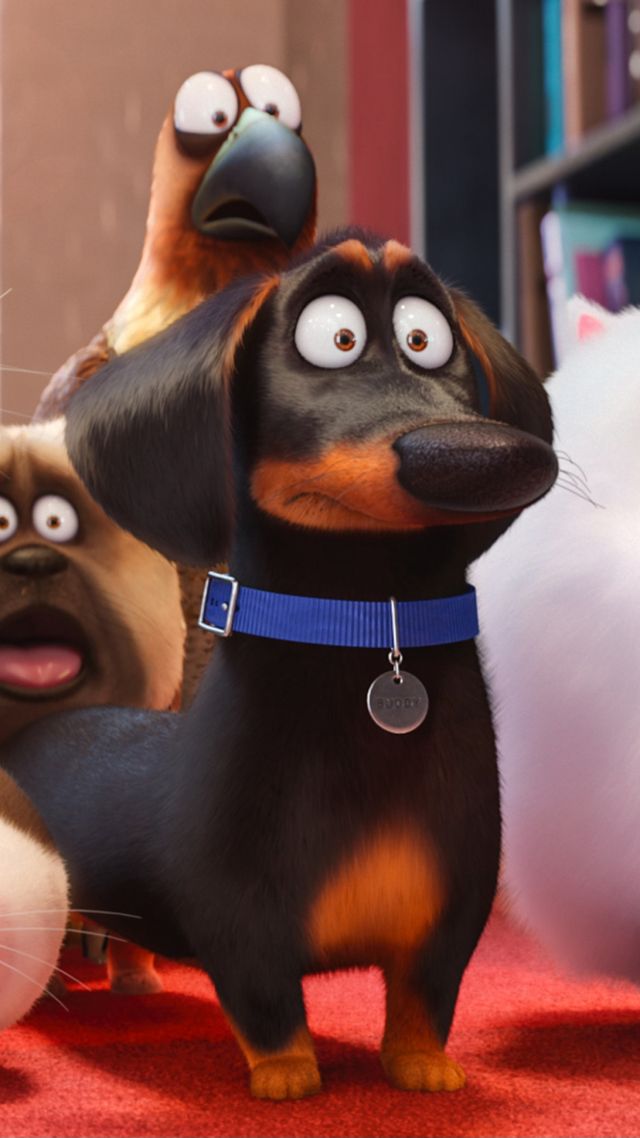 Тайная жизнь домашних животных, собака, пес, Лучшие мультфильмы 2016, The Secret Life of Pets, dog, Best Animation Movies of 2016, cartoon (vertical)