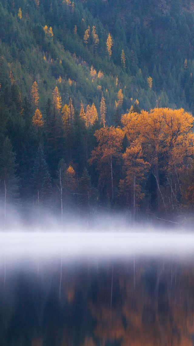 Эхо-озеро, лес, Колумбия, осень, Echo Lake, forest, trees, fog, Columbia, autumn, 5k (vertical)