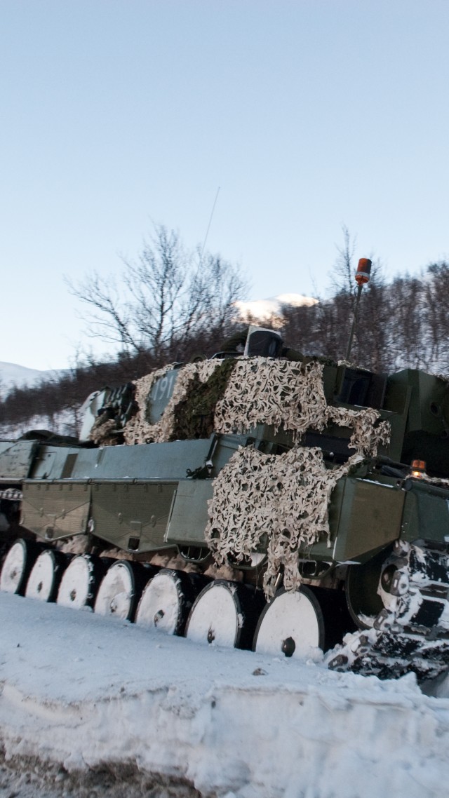 Леопард 2, танк, ОБТ, камуфляж, лес, Leopard 2, 2a6m, 2A5, MBT, tank, Norway, forest, camo, winter (vertical)