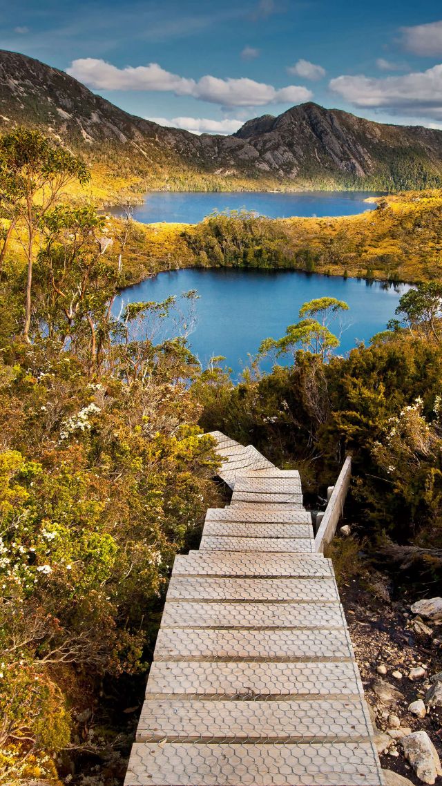 Австралия, озеро, горы, St. Clair National Park, Tasmania, Australia, lake, mountains, 4K (vertical)