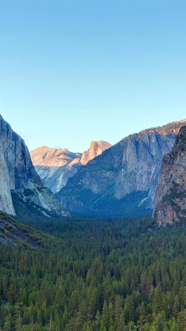 Обои Эпл, 5k, 4k, лес, горы, снег, Yosemite, 5k, 4k wallpaper, forest, OSX, apple, mountains (vertical)