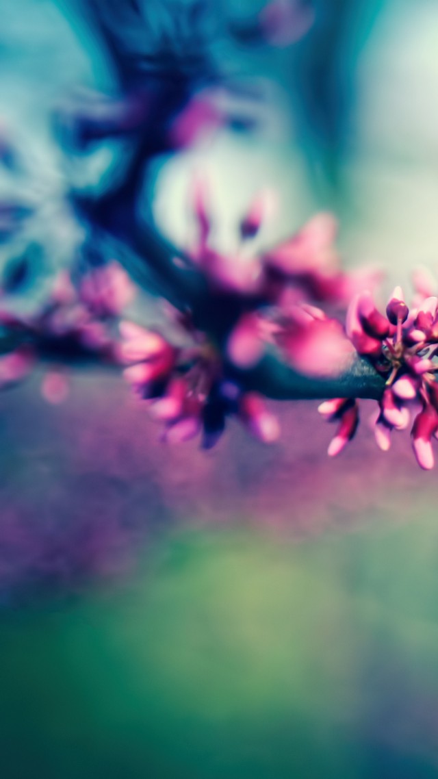 Ветка, 4k, HD, цветение, весна, Branch, 4k, HD wallpaper, blossom, spring (vertical)