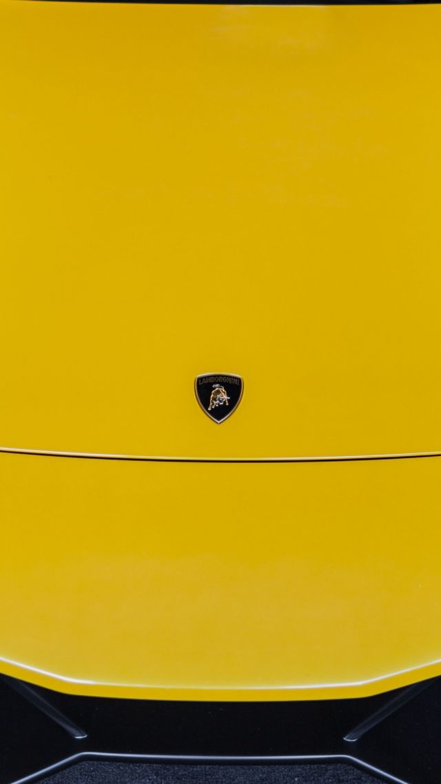 Ламборджини, суперкар, купе, купить, аренда, обзор, Lamborghini Murcielago, supercar, coupe, buy, review, rent (vertical)