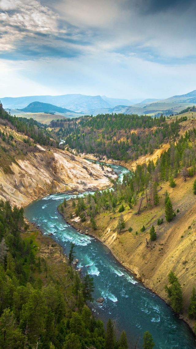 Йеллоустон, 4k, 5k, США, речка, туризм, путешествие, Yellowstone Landscape, 4k, 5k wallpaper, USA, river, travel, tourism (vertical)