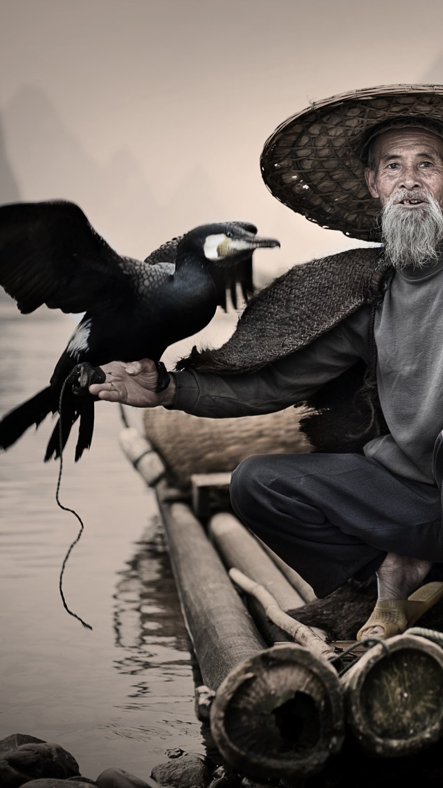 Баклан, Синпин, Китай, птица, Cormorant, Li-River, Xingping, China, fishing village, bird, National Geographic Traveler Photo Contest (vertical)