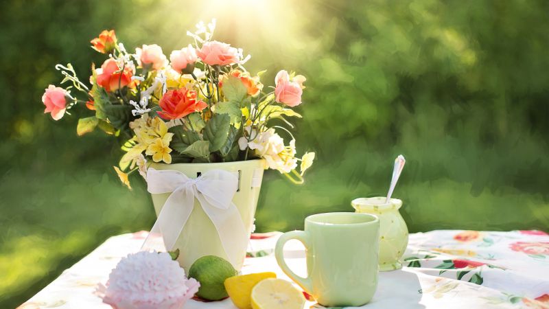 Весенние цветы, 4k, HD, летные цветыЮ лето, солнце (horizontal)