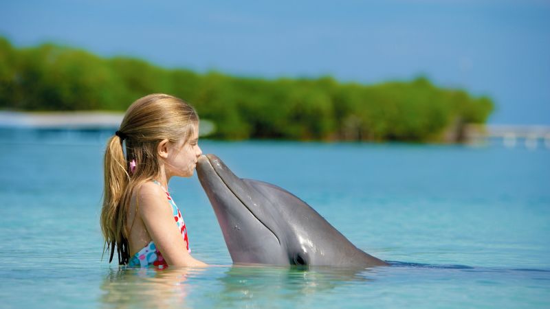 девочка и дельфин, океан, Мальдивы (horizontal)