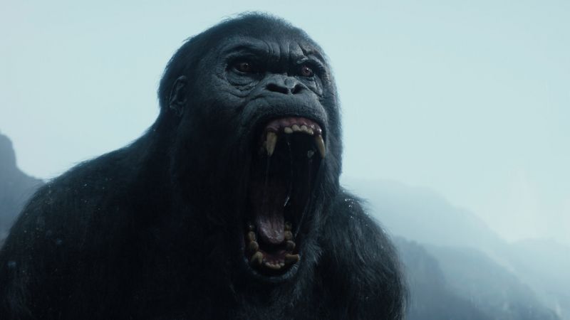 Тарзан. Легенда, горилла, Лучшие фильмы 2016 (horizontal)