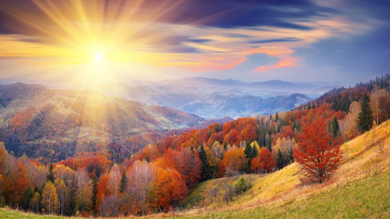 Осень, 4k, HD, 8k, деревья, рассвет, гора, листья, колорит (horizontal)
