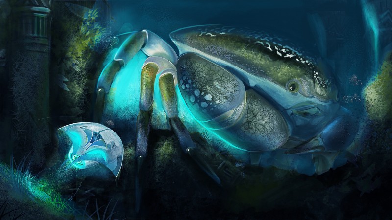 краб, рак, подводный мир, океан, море, вода, арт, рисунок, синий (horizontal)