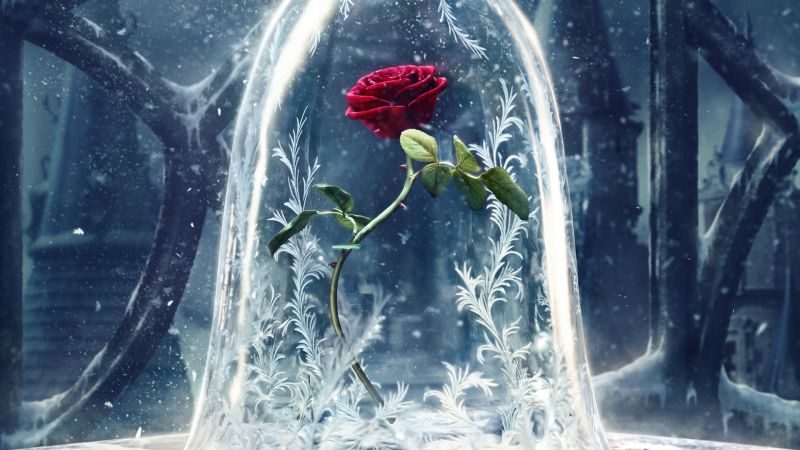 Красавица и Чудовище, стекло, роза, лучшие фильмы (horizontal)